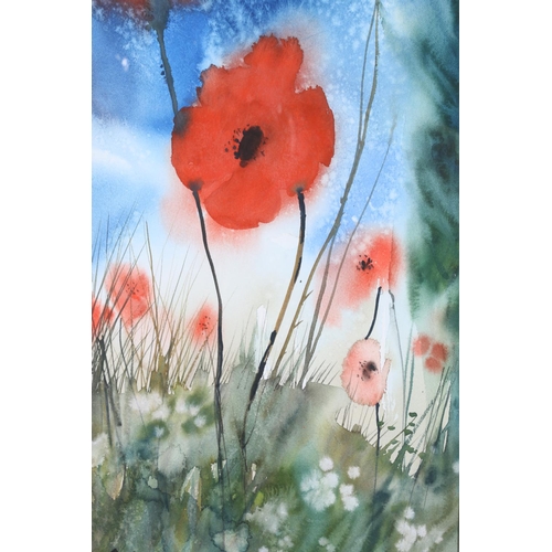 402 - DAVID GRAHAM (Scottish Contemporary), Poppies, watercolour, signed lower left, 37cm x 24cm, frame 59... 