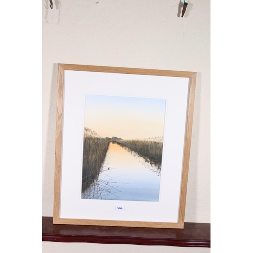 406 - JONATHAN POMROY, Kingfisher in the reeds, watercolour, signed lower left, 38cm x 28cm, frame 59cm x ... 