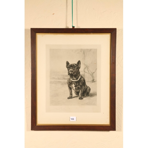 466 - MAUD EARL (1864-1943), portrait of a Boston Terrier dog, print, pencil signed lower left, published ... 