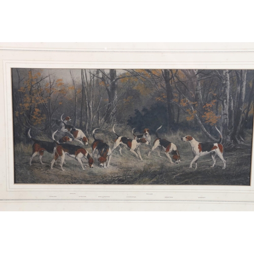 467 - HEYWOOD HARDY (1842-1933), two fox hunting prints, 18cmx 38cm, frame 36cm x 55cm. (2)