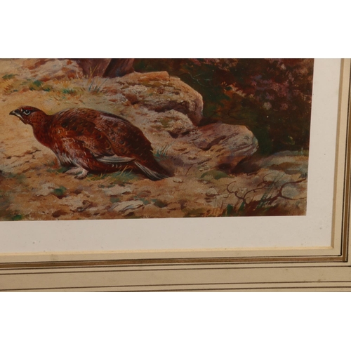 468 - ARCHIBALD THORBURN FZS (Scottish 1860-1935), Grouse The Drove Road (1930), limited edition print #15... 