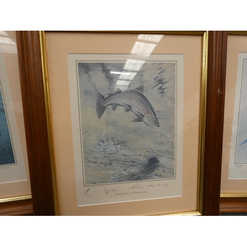 262 - Three pencil signed limited edition Robin Armstrong prints. (3).