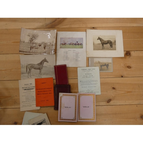 167 - Thoroughbred Horses.  A bundle of stallion cards (incl. some standing in the Borders), pho... 