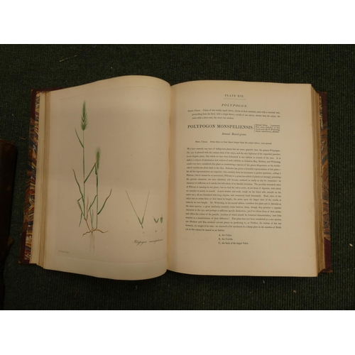 212 - KNAPP J. L.  Gramina Britannica or Representations of the British Grasses. Eng. col. plate... 