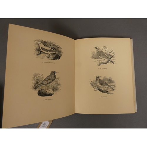 235 - STONE REYNOLDS (Ed).  Wood Engravings of Thomas Bewick Reproduced in Collotype. Many illus... 