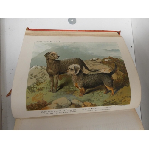 68 - SHAW VERO.  The Illustrated Book of the Dog. Poor cond. but many good chromolitho plates. Quarto. Ca... 