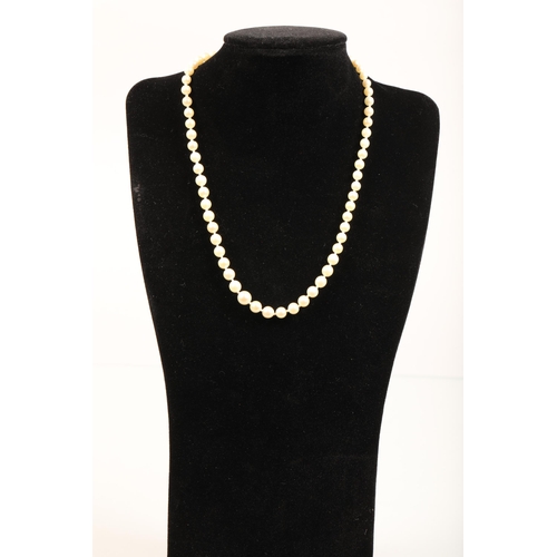 44 - String of pearls with 9ct gold clasp