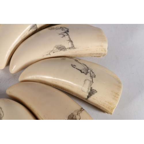 355 - 'Reliquary', Bridget Steed, scrimshaw, each resin tooth 17cm.