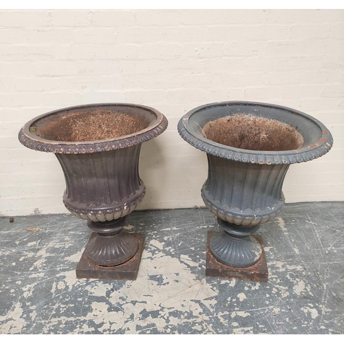 379 - Pair of antique cast iron campagna form garden urns of large size, each with formerly painted lunett... 