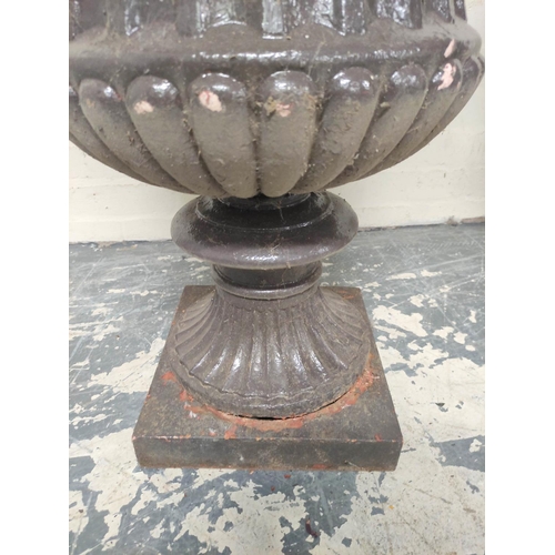 379 - Pair of antique cast iron campagna form garden urns of large size, each with formerly painted lunett... 