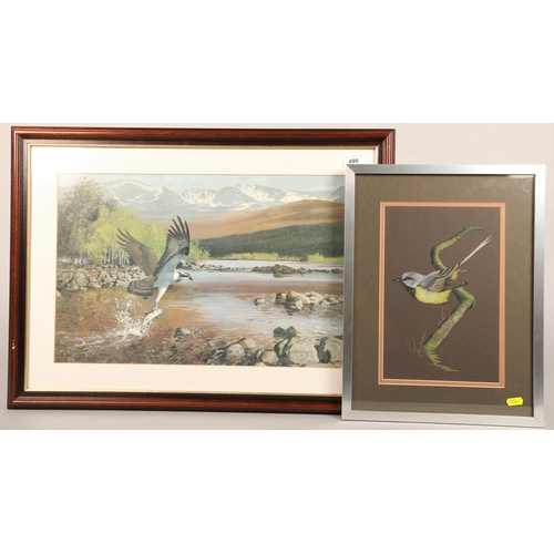 499 - Keith Shackleton 'Osprey'  Print in frame, with David W Philip 'Great tit' mixed media, signed by th... 