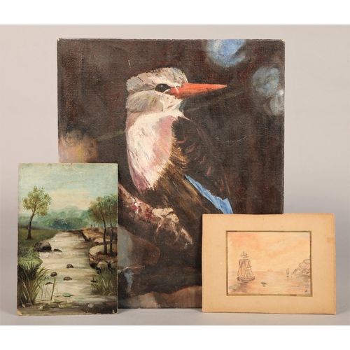 509 - M Wallace, 'Blue winged Kookaburra', signed, 35 x 42 cm with two other pictures (3)