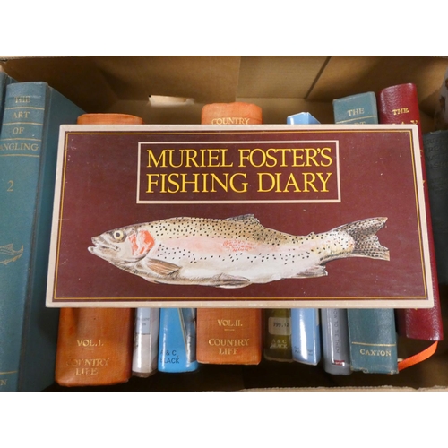 250 - Angling.  A carton of vols. incl. Skues, The Way of a Trout With a Fly, Flyfisher's Classic Library,... 