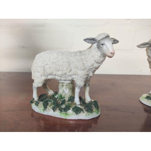 288 - 19th century pair of Staffordshire figures of sheep, raised on encrusted naturalistic bases, 12cm hi... 