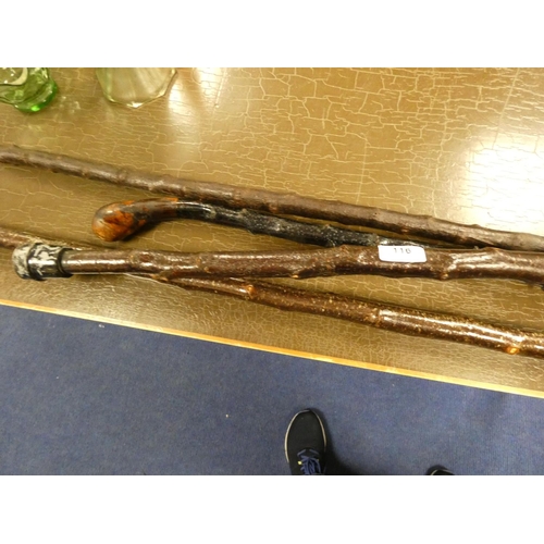 116 - Three walking sticks to include horn handle and a wading stick. (4)