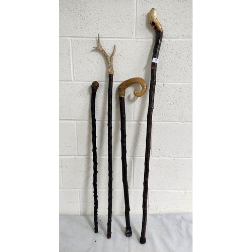 116 - Three walking sticks to include horn handle and a wading stick. (4)