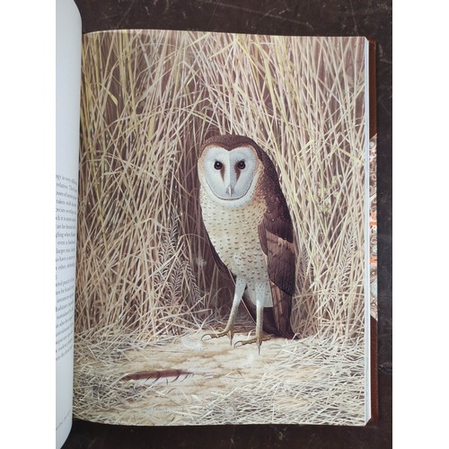 5 - KEMP ALAN.  The Owls of Southern Africa. Signed ltd. ed. 66/300. Col. plates & other i... 