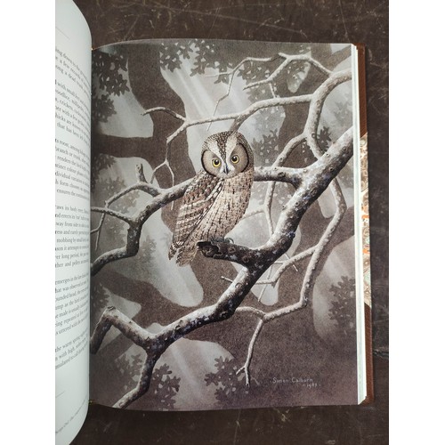 5 - KEMP ALAN.  The Owls of Southern Africa. Signed ltd. ed. 66/300. Col. plates & other i... 