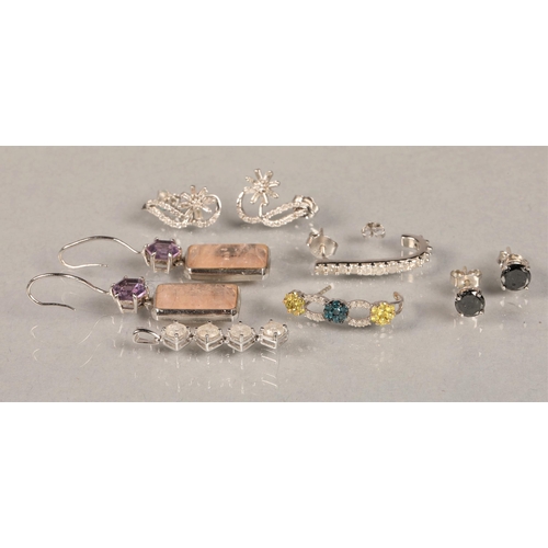 107 - Various earrings and pendants