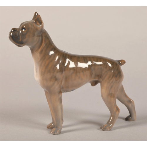 35 - Royal Copenhagen Boxer dog, 1708, 3634