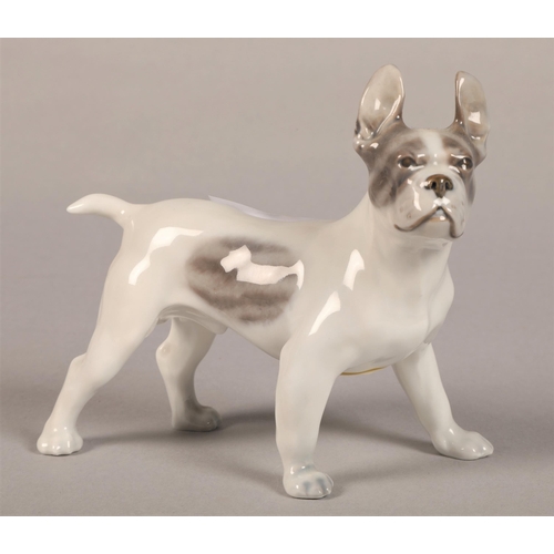 40 - Royal Copenhagen French Bulldog, 1457