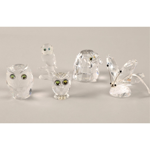 25 - Three Swarovski owls, bird of prey head, butterfly (5) boxed