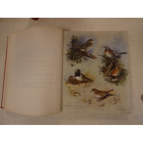 220 - THORBURN ARCHIBALD.  British Birds. 4 vols. 82 good col. plates on card. Quarto. Orig. red... 