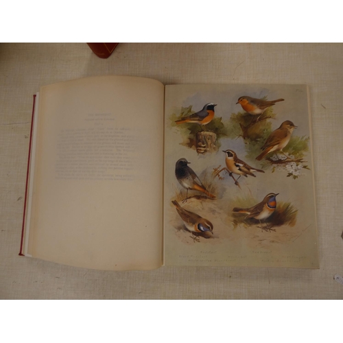 220 - THORBURN ARCHIBALD.  British Birds. 4 vols. 82 good col. plates on card. Quarto. Orig. red... 