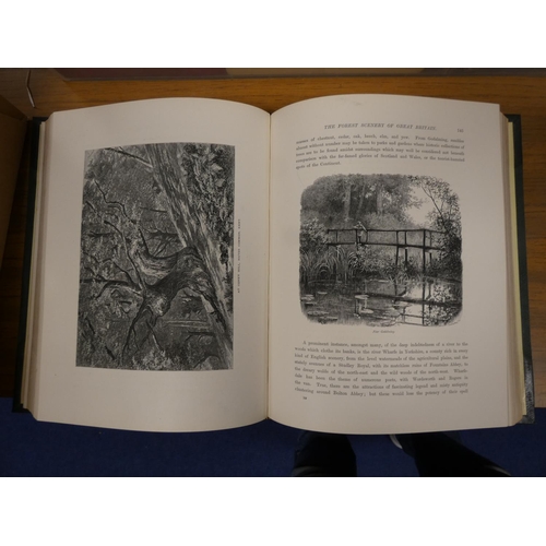 223 - CASSELL, PETTER, GALPIN & CO. (Pubs).  Picturesque Europe. 5 vols. Very many eng. plat... 