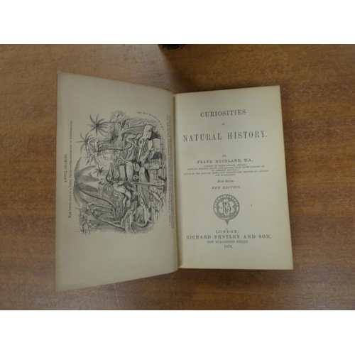 244 - BUCKLAND FRANK.  Curiosities of Natural History. 4 vols. Frontis. 12mo. Blue calf, rubbing... 