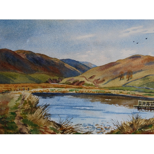 267 - TJ Bertram (Scottish)The Top Pond, Corby Linn, SelkirkSigned and dated '96, watercolour, 21cm x 28.5... 