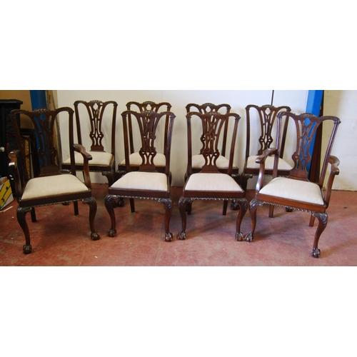 305 - Set of eight Chippendale Revival mahogany dining chairs, including a pair of carvers, each with pier... 