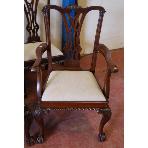 305 - Set of eight Chippendale Revival mahogany dining chairs, including a pair of carvers, each with pier... 