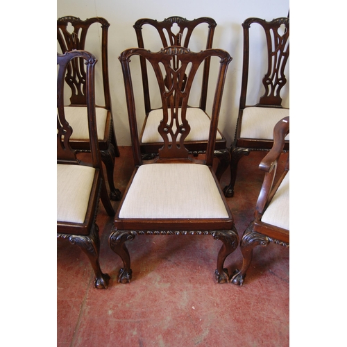 305 - Set of eight Chippendale Revival mahogany dining chairs, including a pair of carvers, each with pier... 