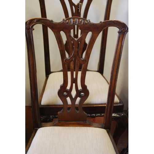 305 - Set of eight Chippendale Revival mahogany dining chairs, including a pair of carvers, each with pier... 