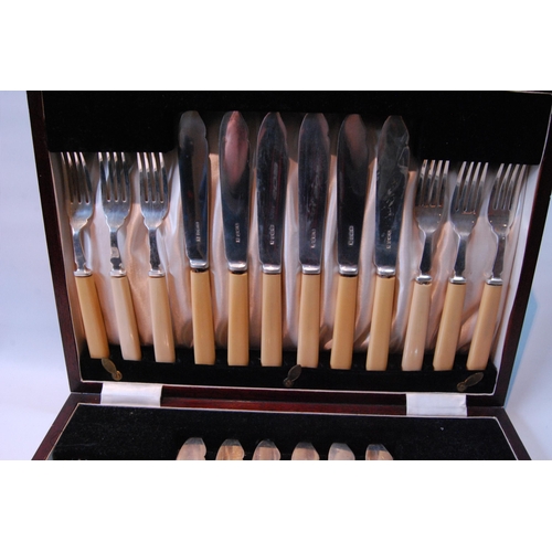 96 - Set of twelve silver fish knives and twelve forks (Xylonite handles) by Cooper Brothers & Sons, ... 