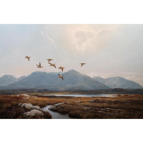 289 - WILLIAM HOLLYWOOD (British b1923) *ARR* Curlew on a Connemara Moor Oil on canvas, signed lower right... 