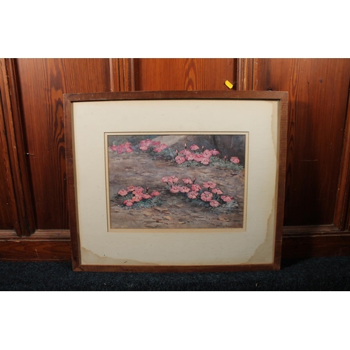 303 - JOHN MURRAY THOMSON RSA RSW PPSSA (Scottish, 1885-1974) *ARR* Dianthus Alpinus Watercolour, signed l... 