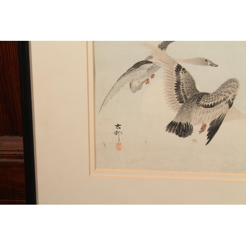 324 - OHARA KOSON (Japanese 1877-1945)Ggeese in flightWoodblock print, 22cm x 23cm, frame 38cm x 40cm. The... 