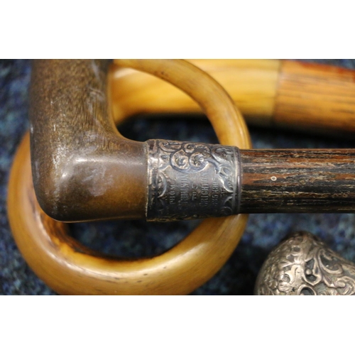 398 - Group of three walking sticks, one with a white metal cap, another with horn handle and white metal ... 