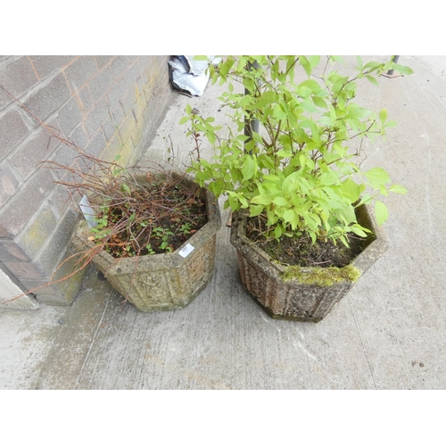 580 - Pair of concrete garden planters.