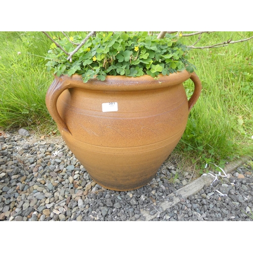 581 - Very large Bardon Mill salt glaze garden planter.