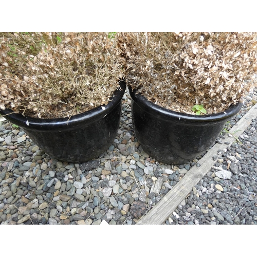 583 - Pair of small black glazed garden planters.Height 25cmWidth 30cm