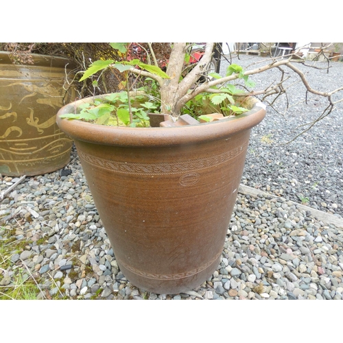 587 - Large salt glaze Bardon Mill garden planter.