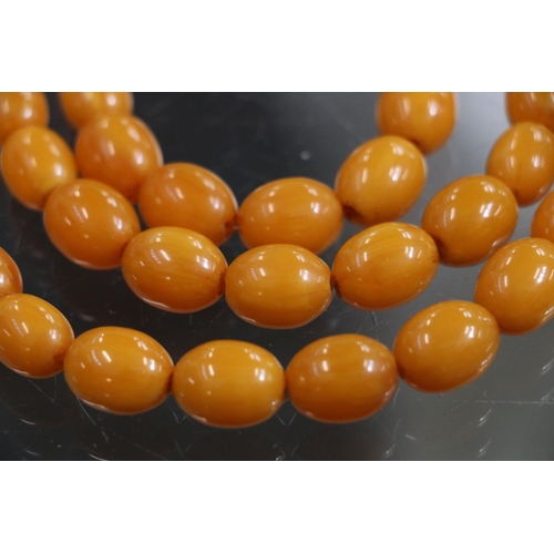 231 - Triple strand of graduated butterscotch amber bead necklace, 24cm, 108g gross.