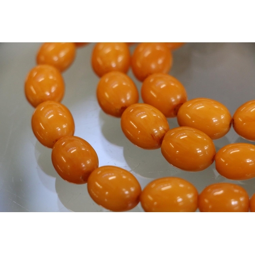 231 - Triple strand of graduated butterscotch amber bead necklace, 24cm, 108g gross.