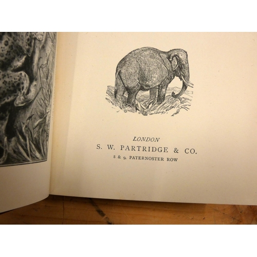 132 - WRIGHT M. J.  Three Years in Cachar With a Short Account of the Manipur Massacre. Edited b... 