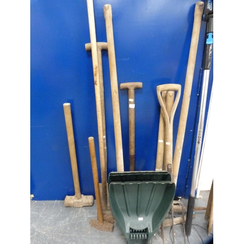 116 - Collection of garden tools to include, mallets, shovels, pick axe head, leaf collectors etc.