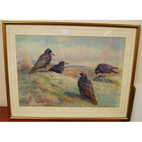 244 - Donald Watson (British, 1918 - 2005)Rooks perched on a hillSigned and dated 1972, watercolour, 39.5c... 