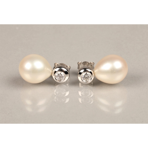 150 - Ladies 18ct white gold, pearl and diamond stud earrings, possibly South sea pearls, each diamond 0.2... 